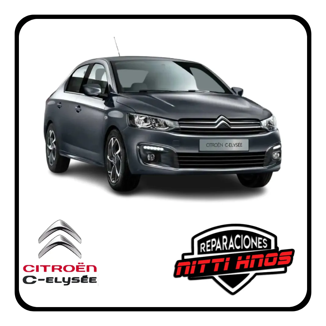 Soporte Máquina Lev. Cristal Peu 301 17/19 C-elysee 16/19 D - 3