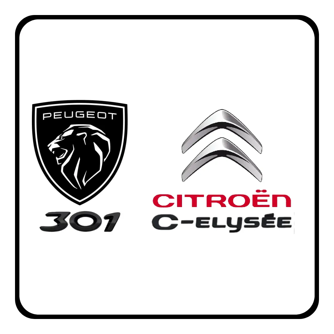 Soporte Máquina Lev. Cristal Peu 301 17/19 C-elysee 16/19 D - 4