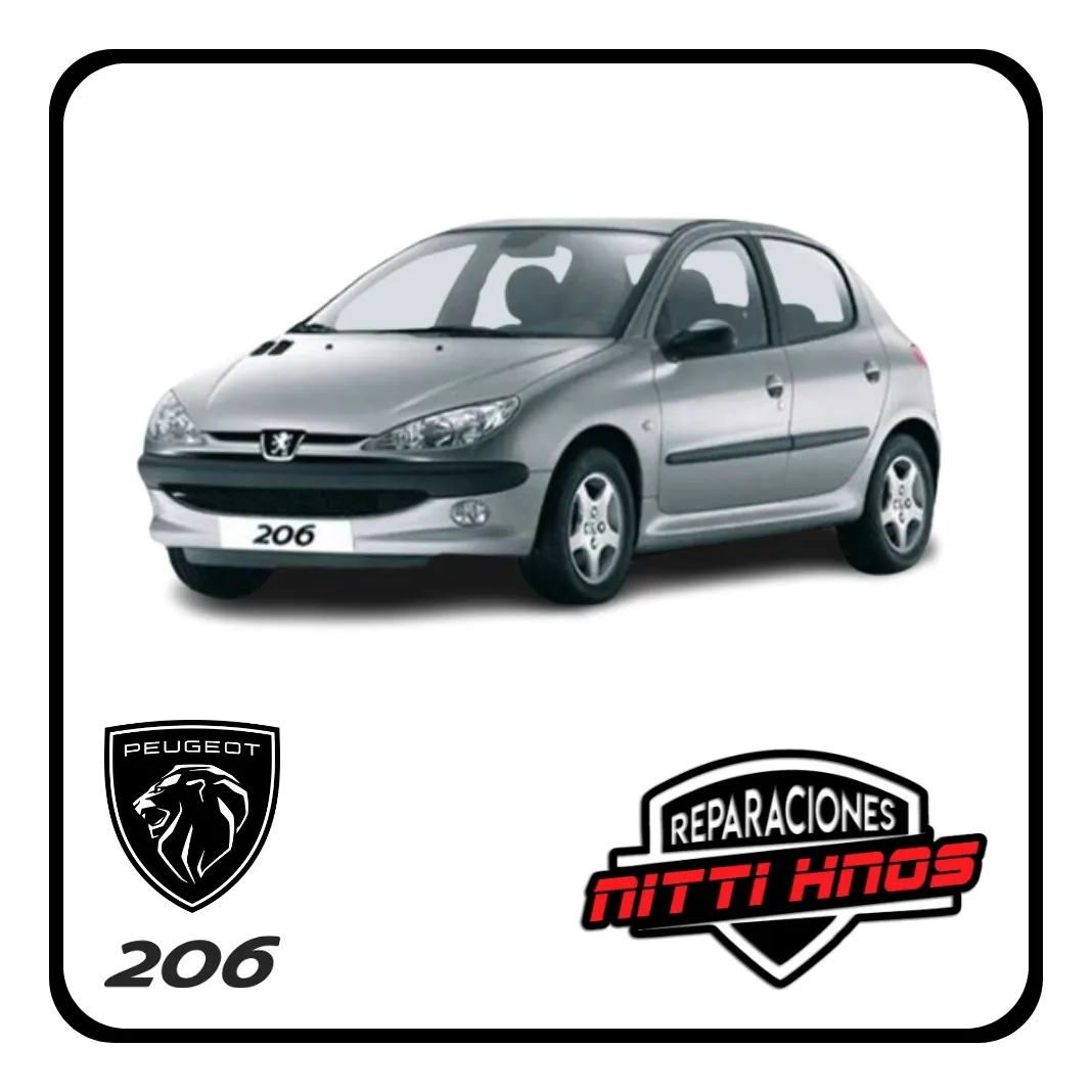 Juego Pico Rociador Sapito Peugeot 206/207 99/ - 1