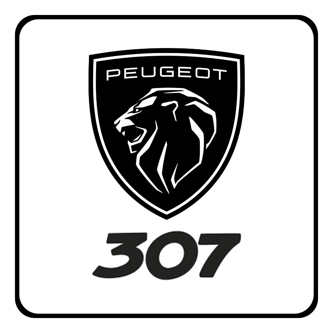 Soporte P/ Maquina Levanta Vidrio Peugeot 307 01/12 Del Der - 4