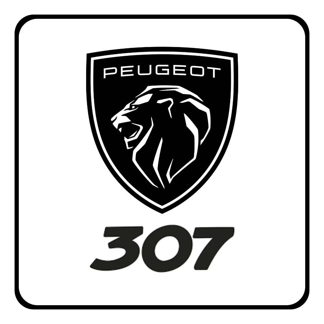 Soporte P/ Maquina Levanta Vidrio Peugeot 307 01/12 Del Izq - 4