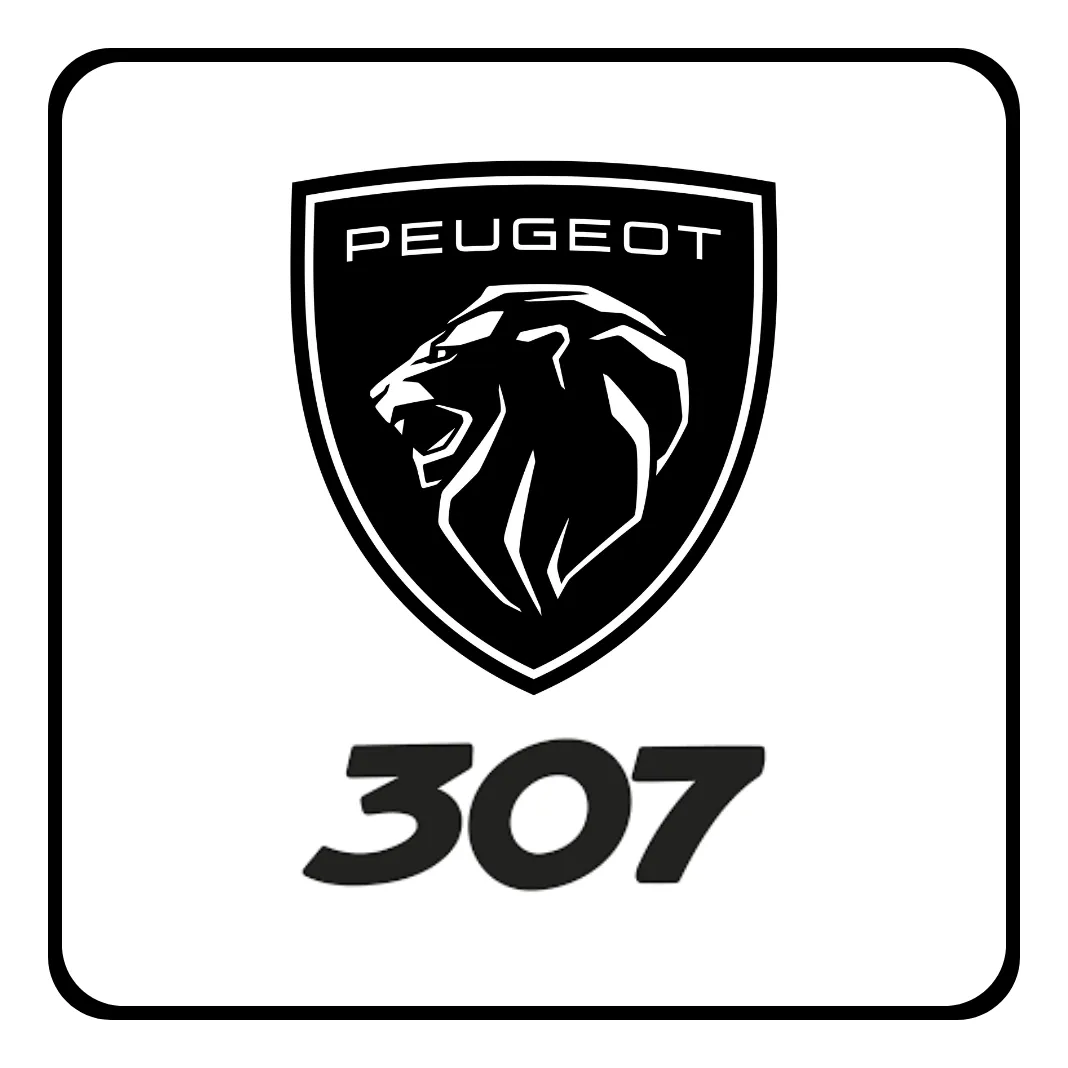 Devanador P/maq Levantavidrio Peugeot 307 01/06 Del I O D - 4